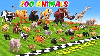 The Great Zoo Animals Running Race With Elephant Mammoth Tiger Gorilla Buffalo - Fastest Animals?