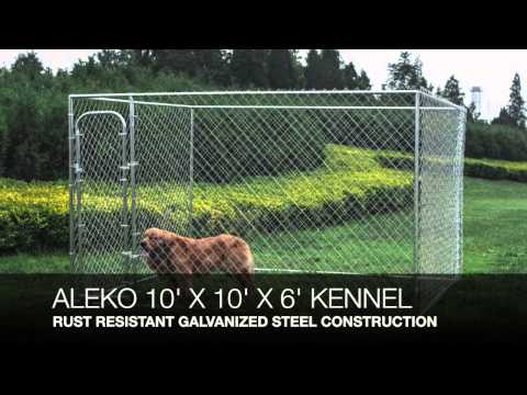 what-is-the-best-10x10-dog-kennel?