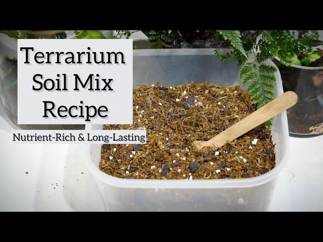 My ultimate terrarium soil mix recipe | nutrient-rich & long-lasting -  YouTube