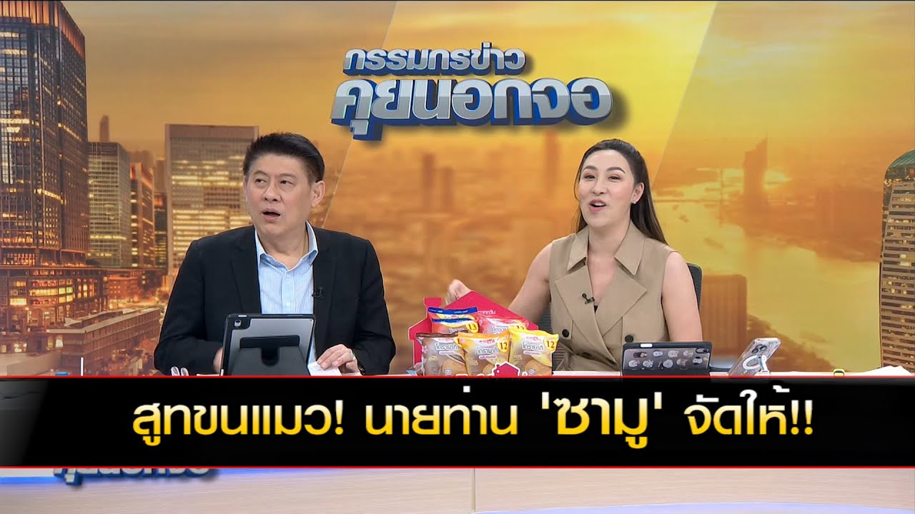 สูทขนแมว! นายท่าน 'ซามู' จัดให้!!
