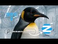 Zorin OS 18(Beta) - Tudo Que Seu Computador Precisava