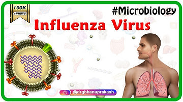 Influenza Virus Microbiology Animation
