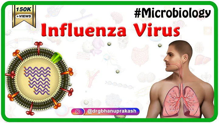 Influenza Virus Microbiology Animation - DayDayNews