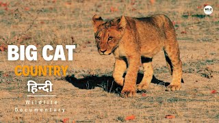 The Next Dynasty - Big Cat Country [2023] हिन्दी डॉक्यूमेंट्री | Wildlife documentary in Hindi by Wildlife Telecast  91,620 views 4 months ago 48 minutes