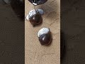 Restoration Casting Snail out of Scrap to Make Art #shorts #viralvideo #reels #restoration
