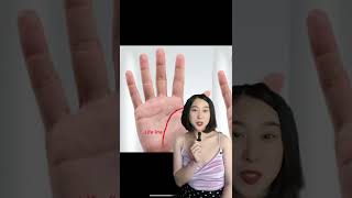 How to read PALM Part 1 #chineseculture #learnchinese #palmistry #intuition #fate #prophecy