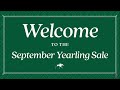 Keeneland Live Feed