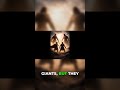Joshua &amp; Caleb Faced Giants and Still Won — Here's How#motivation #motivational #motivationalvideo