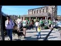 Chattanooga, Tennessee St Paddy's Day Dog Parade March 16 2013 Chattanooga, Tennessee St Paddy's Day Dog Parade March 16 2013