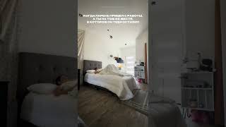 Брюнетка или блондинка? MALOV - Целуй меня