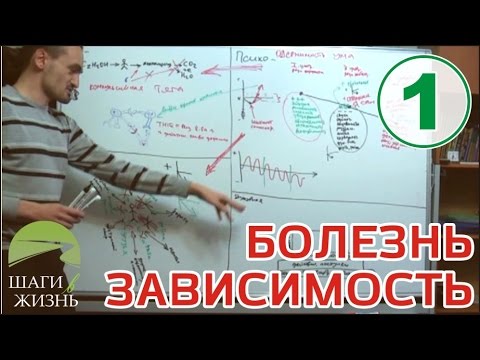 Илья Т. - Занятие 1 - Болезнь Зависимость