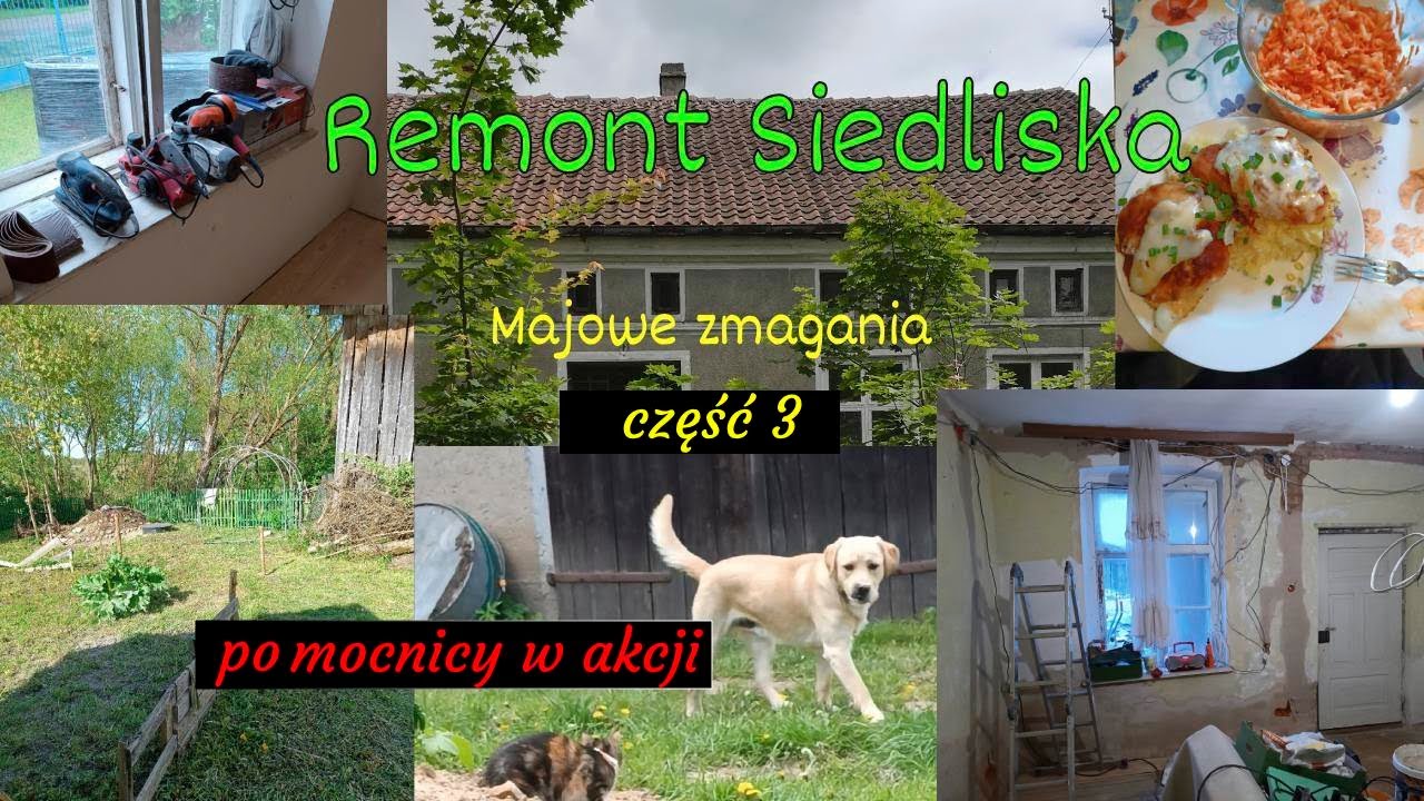 Remont siedliska Warmiński Zakątek maj 2025 cz. 3