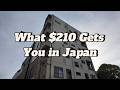 $210 Apartment Tour | Kumamoto, Japan