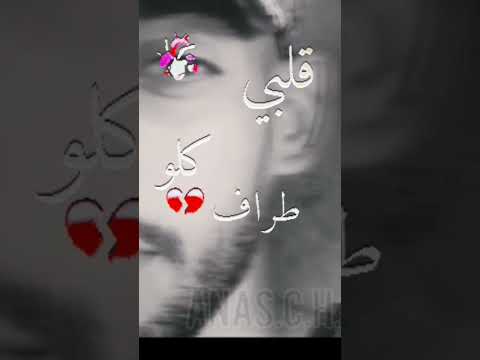 بكاتني مي مني قاتلي ولدي 