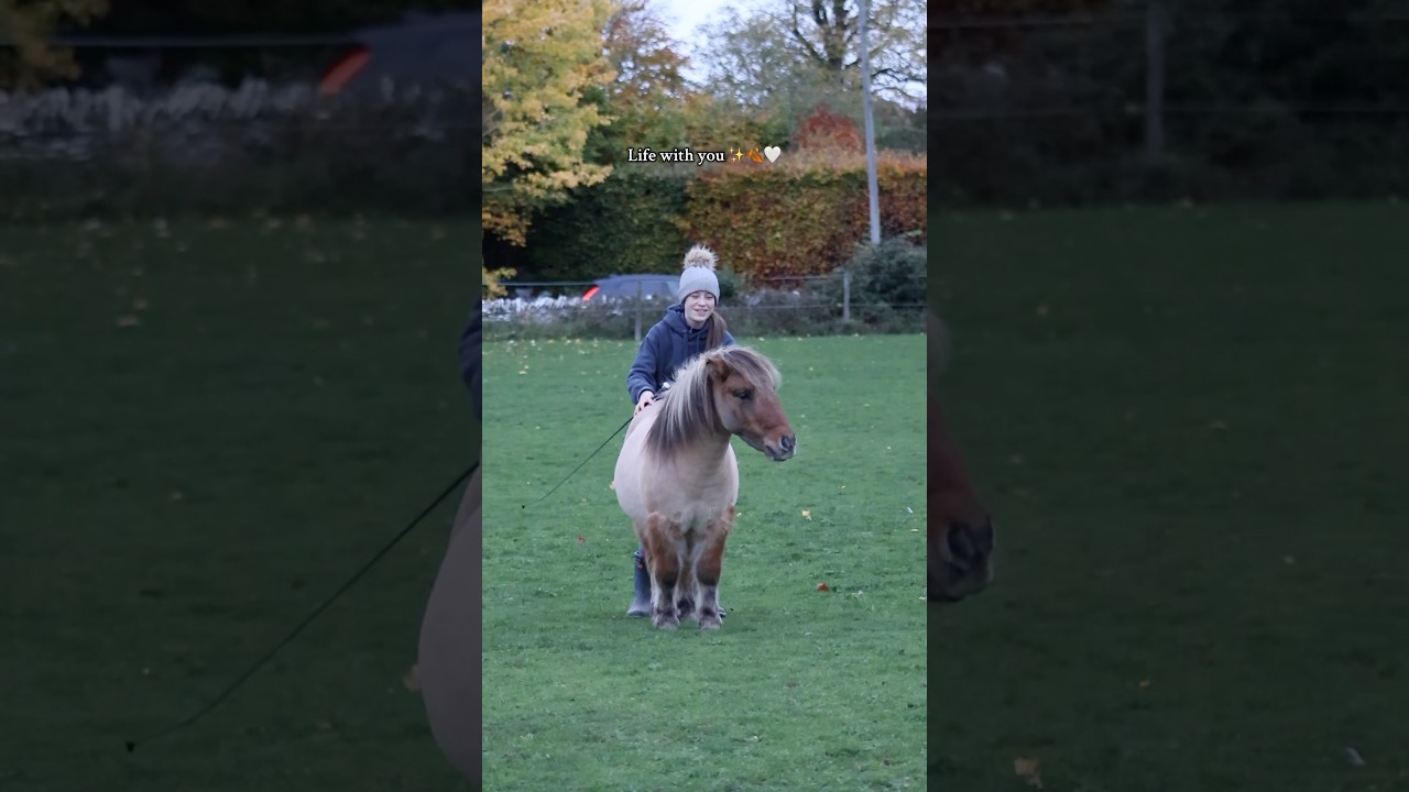 Мой маленький цирковой пони 🤍 