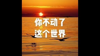 201506 你不动了　这个世界21887