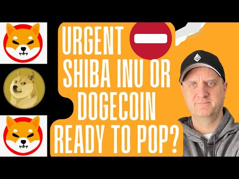 SHIBA INU COIN PRICE NEWS 🔥 DOGECOIN SET TO ROLL UP 🚀 ETHEREUM PRICE POPPING!