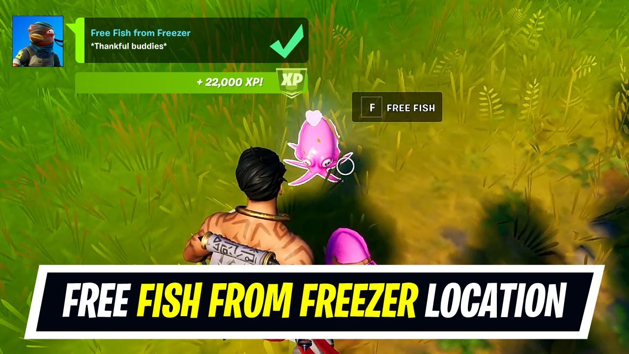 Free Fish from a Freezer quest location How to complete Free Fish