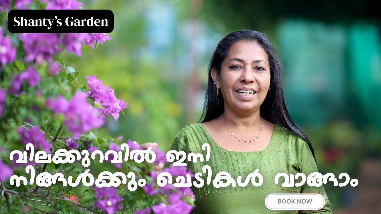 വിലക്കുറവിൽ ഇനി നിങ്ങൾക്കും ചെടികൾ വാങ്ങാം| SHANTY