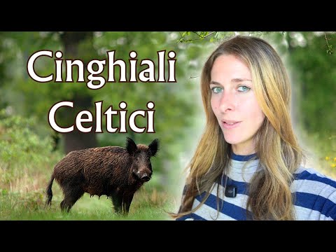 The Boar in Celtic Culture: Symbols, Myths and the Legend of Milan