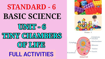 TINY CHAMBERS OF LIFE STD 6 BASIC SCIENCE UNIT 6 | TINY CHAMBERS OF LIFE CLASS 6 BS UNIT 6ACTIVITIES