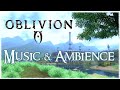 Oblivion  relaxing music  ambience 4k