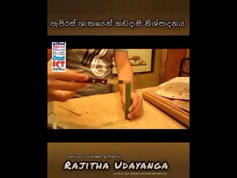 How to make paper from Papyrus tree | පැපිරස් ශාකයෙන් කඩදාසි නිශ්පාදනය