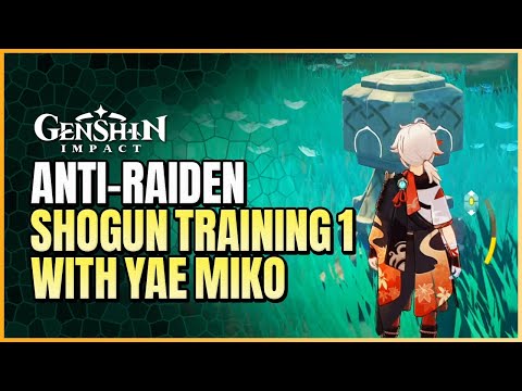 Complete The Anti-Raiden