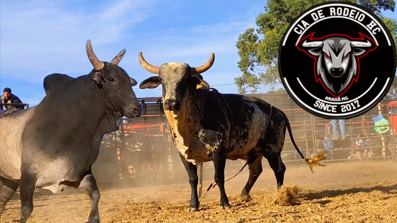 DIA DE TREINO NA CIA DE RODEIO HC e CIA LÉO VALERIANO 