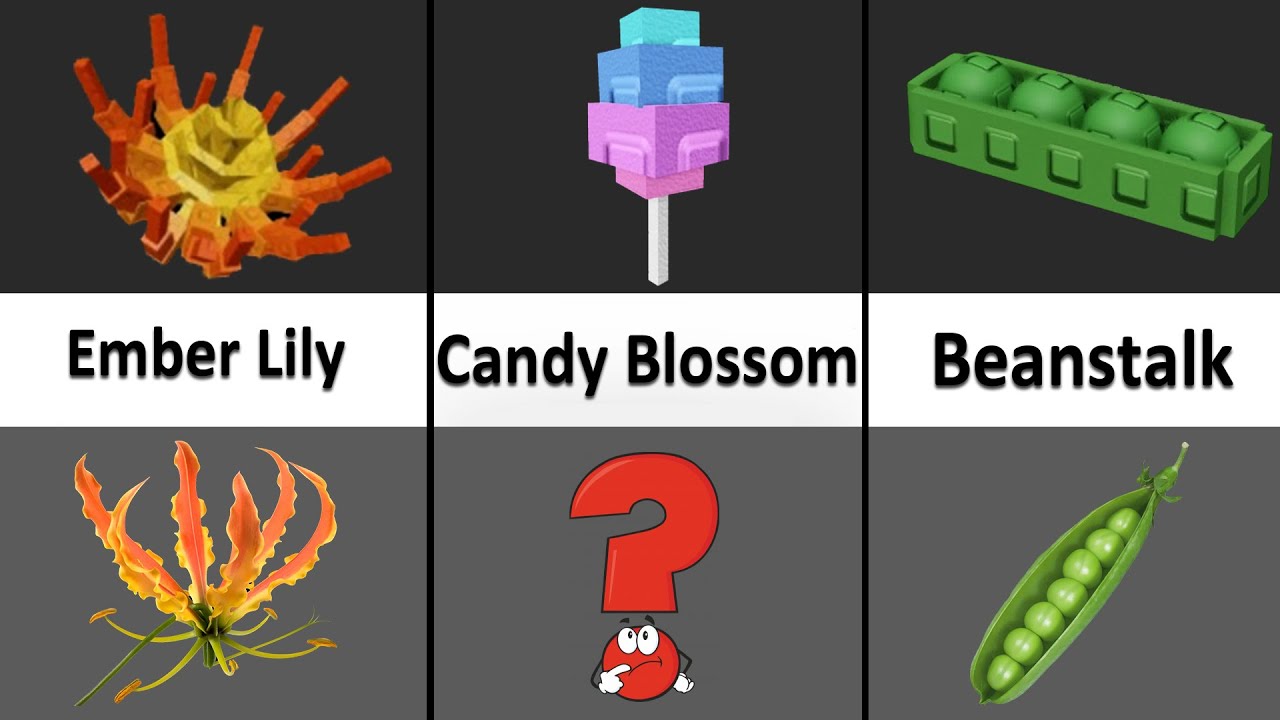 Grow A Garden Roblox Plants VS Real Life | Ardi Play