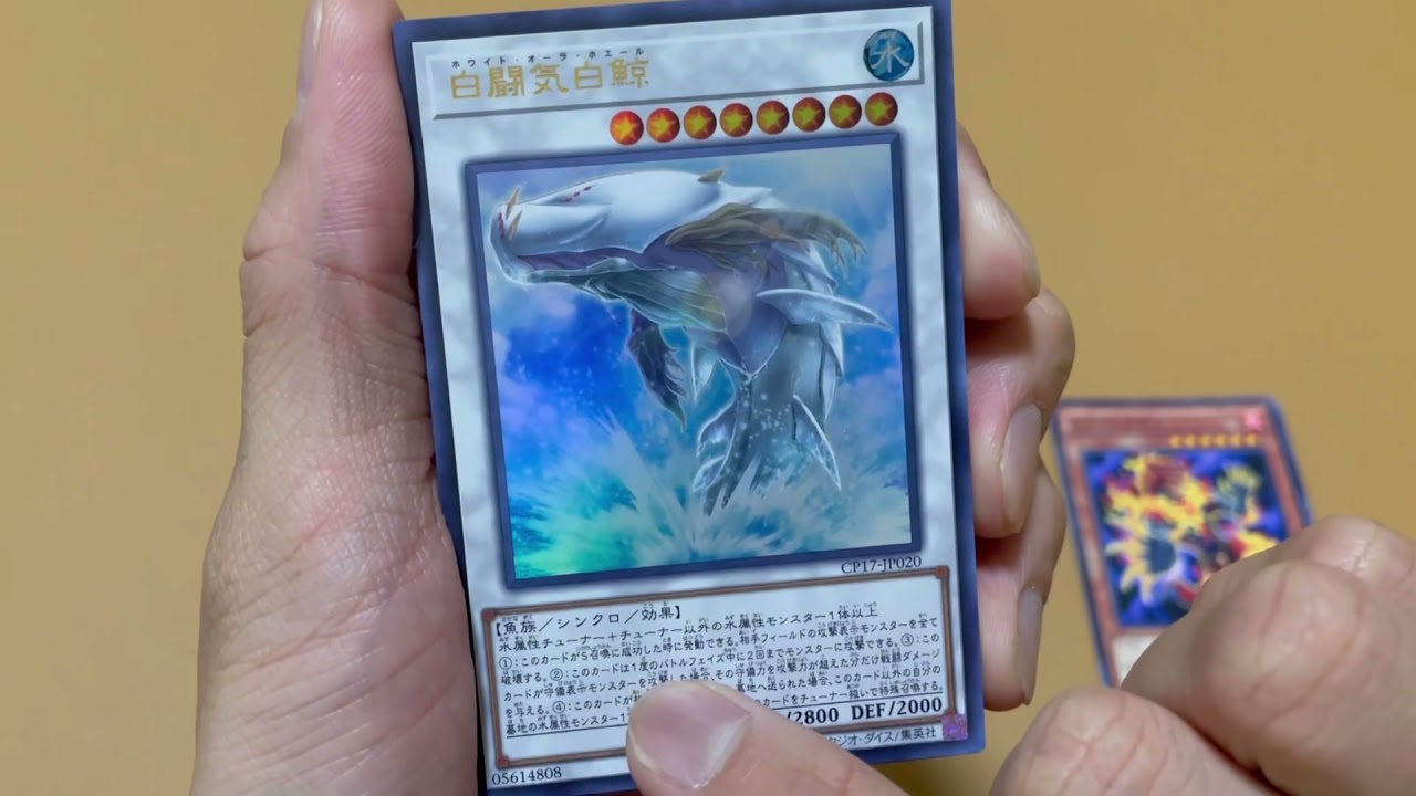 遊戯王 レッドデーモンズ企画 デッキ強化カード 購入品紹介