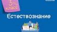 Сила природы: Исследуя взаимосвязь между растениями, животными и людьми ile ilgili video