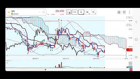 알멕(354320) 24.12.19 종가로 관심가질 종목