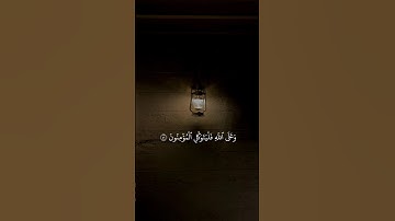 #الشيخ_ماهر_المعيقلي #سورة_التوبة #القرآن_الكريم اكتب_شيء_تؤجر_عليه