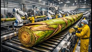 Mega Plant: Inside the Largest High-Tech Banana Stem Factory You've Never Seen Before (Full Process)