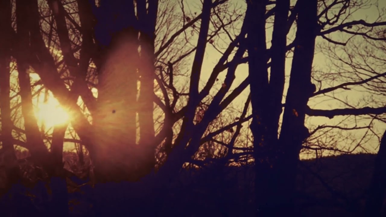 Koldvoid - Wilderness Retreat (2023)