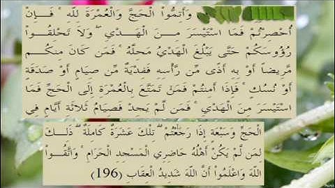 القران الكريم سورة البقرة الاية 196