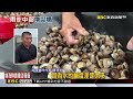 大雨炸雲林 台西養殖池潰堤變汪洋@newsebc
