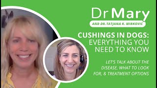 🐾 Dr. Mary: Help – My Dog Has Cushings – Now What? (Feat. Dr. Tatjana Mirkovic)