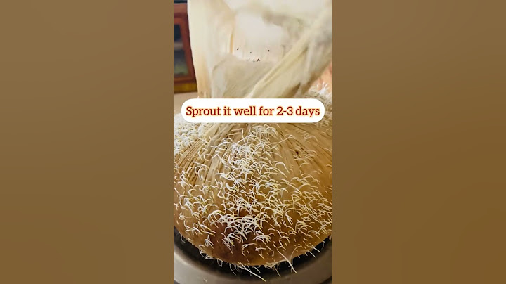 Advik’s Sprouted Ragi Powder | முளைகட்டிய ராகி பவுடர் | link in description to purchase this product