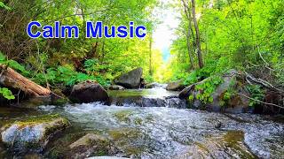 1 Hour Forest River Nature with Soft Relaxing Music for Stress Relief, Stress Relief & Sleep  screenshot 2