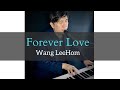 Forever Love ( Wang LeeHom) | Linus Lee (Piano &amp; Vocal)