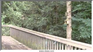 6323 Tell Mynatt Rd, Knoxville, TN 37938