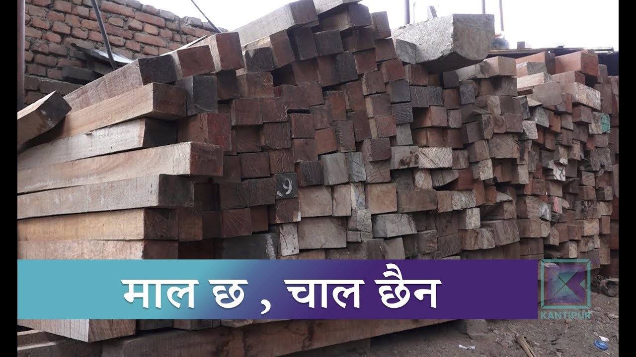 वन क्षेत्र बढे पनि अति आवश्यक काठमा समेत विदेशीको भर | Kantipur Samachar news headlines uk