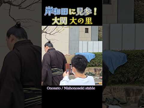 岸和田に見参、 大関 大の里❗大相撲 岸和田場所(春巡業) /sumo