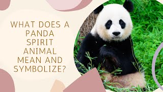 What Does A Panda Spirit Animal Mean And Symbolize?