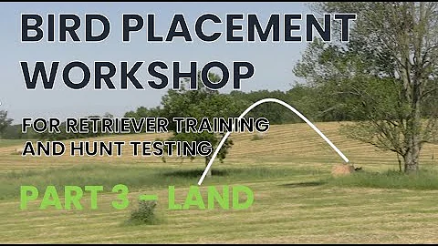 BIRD PLACEMENT WORKSHOP - BIRD PLACEMENT IN RETRIEVER TRAINING AND HUNT TESTING PART 3