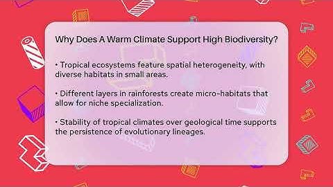 Why Does A Warm Climate Support High Biodiversity? - Ecosystem Essentials