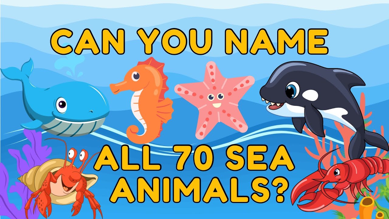 OCEAN QUIZ : 70 Sea Animals - Can You Name Them All? Let's Find Out! | Kids Fun Learning  Video