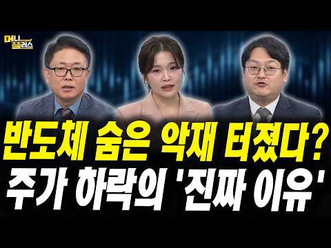 Has a Hidden Semiconductor Crisis Exploded? The 'Real Reason' for the Stock Price Plunge (Lee You...